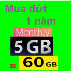 5Gb/tháng - Mua đứt 1 năm (miễn phí tháng)